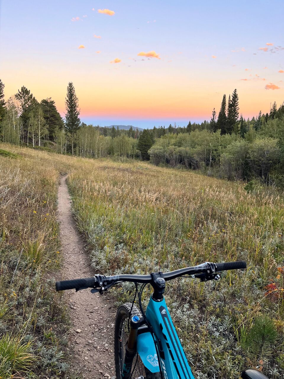 View over mountain bike handlebars down a dirt singletrack through a meadow at sunset
